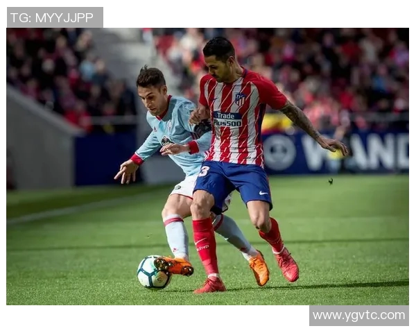 马里迪莫与托德拉的激烈对决谁能在这场比赛中脱颖而出 马里迪莫与托德拉的激烈对决谁能在这场比赛中脱颖而出