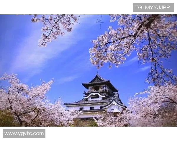 探索埃斯特旺的魅力与文化深度，揭示这座城市的独特风采与历史底蕴