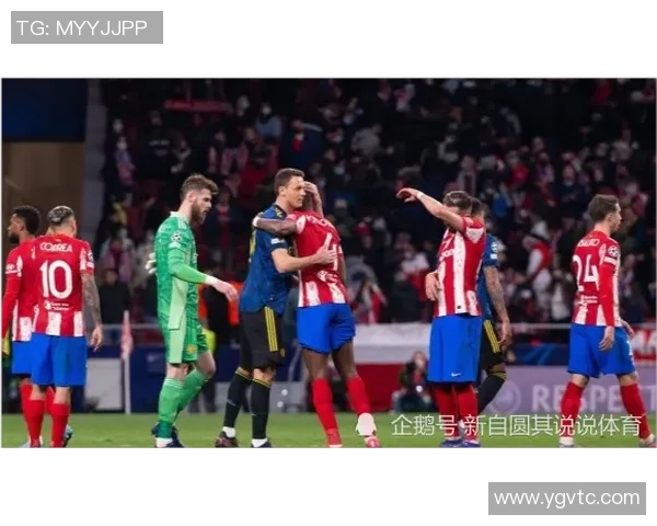 曼联与布鲁精彩对决录像回放全程回顾与精彩瞬间分析