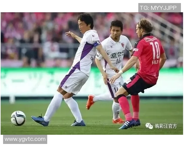 水户蜀葵迎战京都队期待精彩对决与胜利的诞生