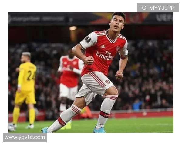 马丁内利：从青涩新星到足球场上的璀璨明珠之路